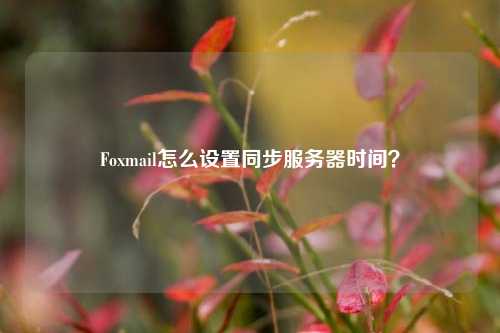 Foxmail怎么設置同步服務器時間？
