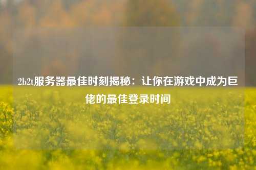 2b2t服務(wù)器最佳時刻揭秘：讓你在游戲中成為巨佬的最佳登錄時間