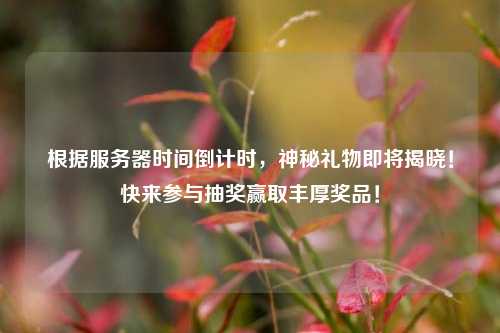 根據(jù)服務(wù)器時(shí)間倒計(jì)時(shí)，神秘禮物即將揭曉！快來參與抽獎贏取豐厚獎品！