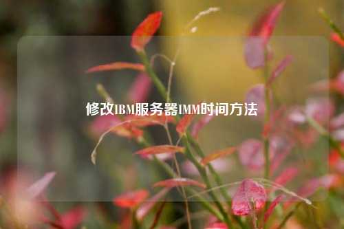 修改IBM服務(wù)器IMM時間方法