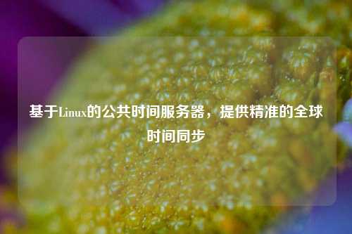 基于Linux的公共時間服務(wù)器，提供精準(zhǔn)的全球時間同步