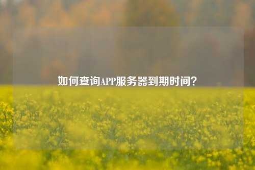 如何查詢APP服務(wù)器到期時(shí)間？