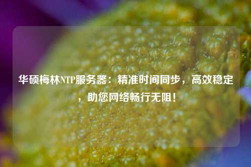 華碩梅林NTP服務(wù)器：精準(zhǔn)時(shí)間同步，高效穩(wěn)定，助您網(wǎng)絡(luò)暢行無阻！