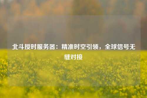北斗授時(shí)服務(wù)器：精準(zhǔn)時(shí)空引領(lǐng)，全球信號(hào)無縫對(duì)接
